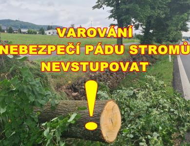 Varování - nebezpečí pádu stromů