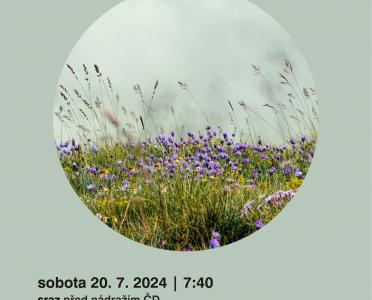obrázek