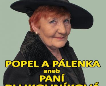 obrázek