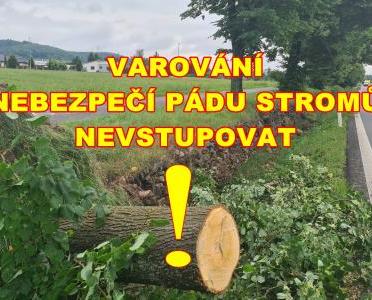 Varování - nebezpečí pádu stromů